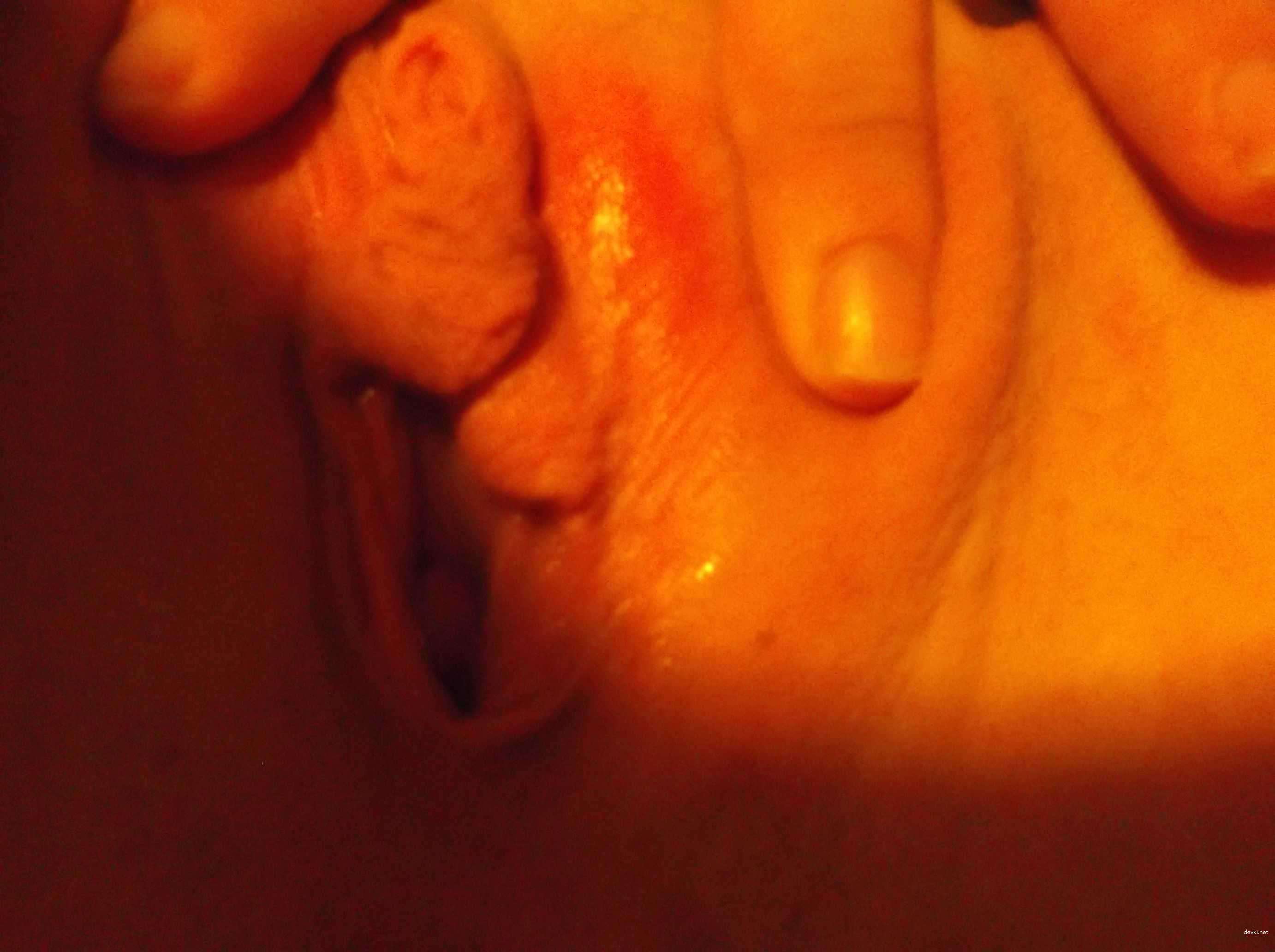 Hot Amateur Girl Sex Orgy - Uncensored XXX Photos