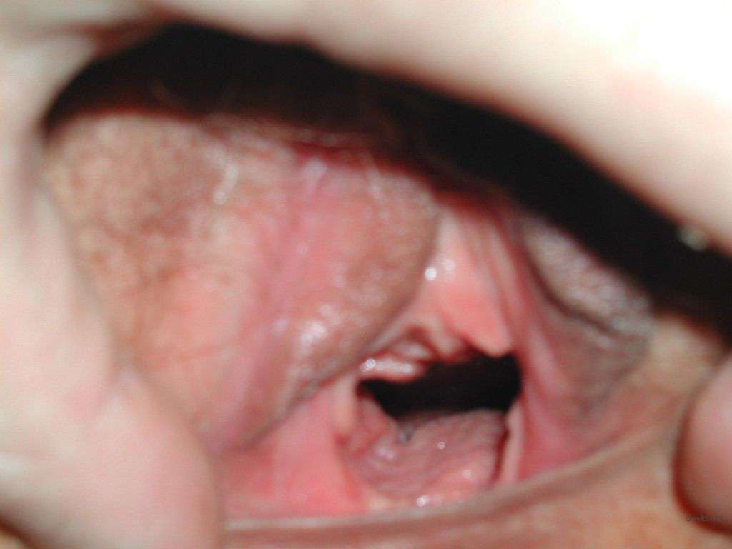 Amateur Blowjob and Pussy Play: Explicit Cock Sucking and Hardcore Fucking