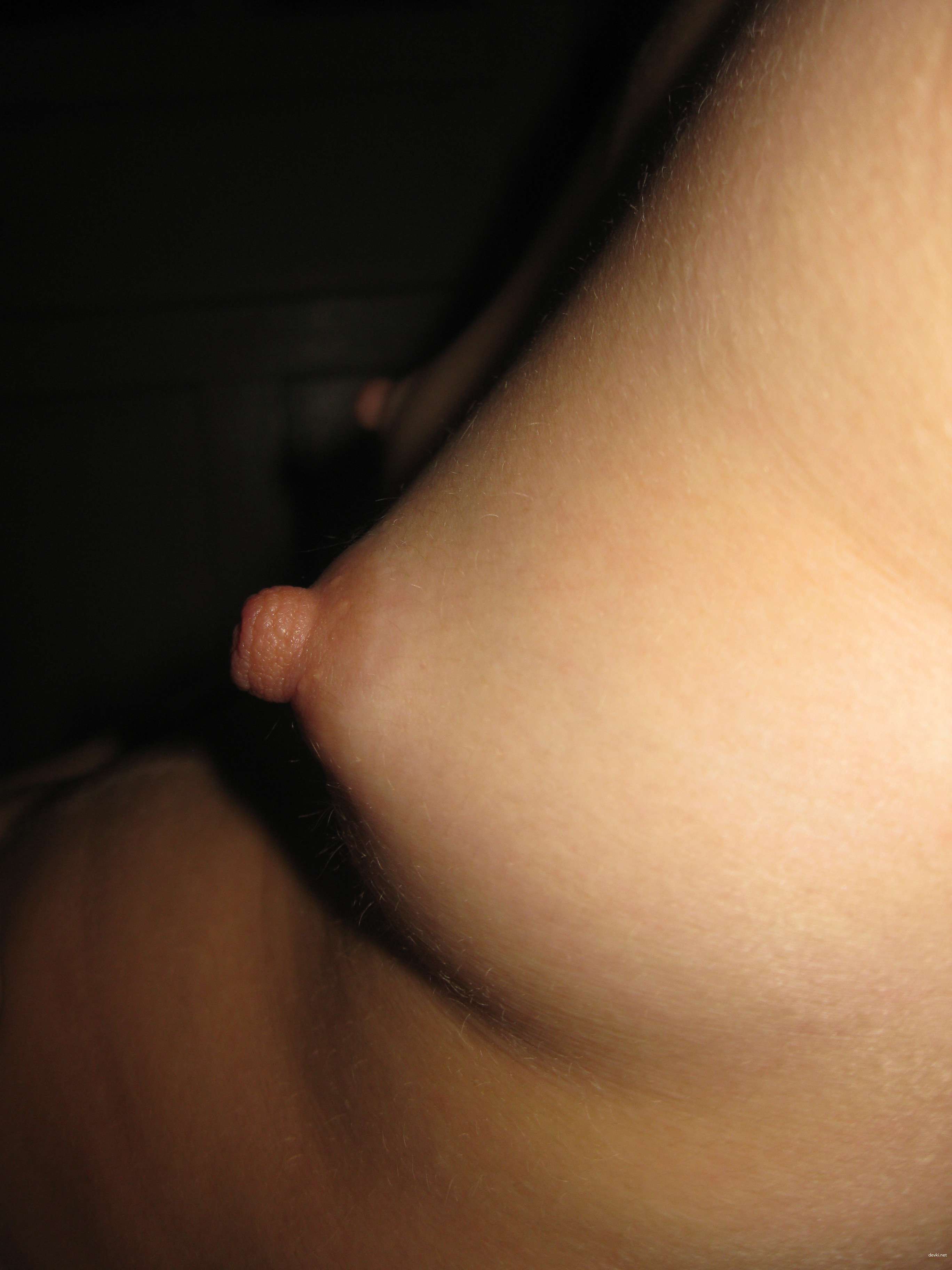Tiny Tits and Perky Nipples Amateur Babe Exposed in XXX Photo